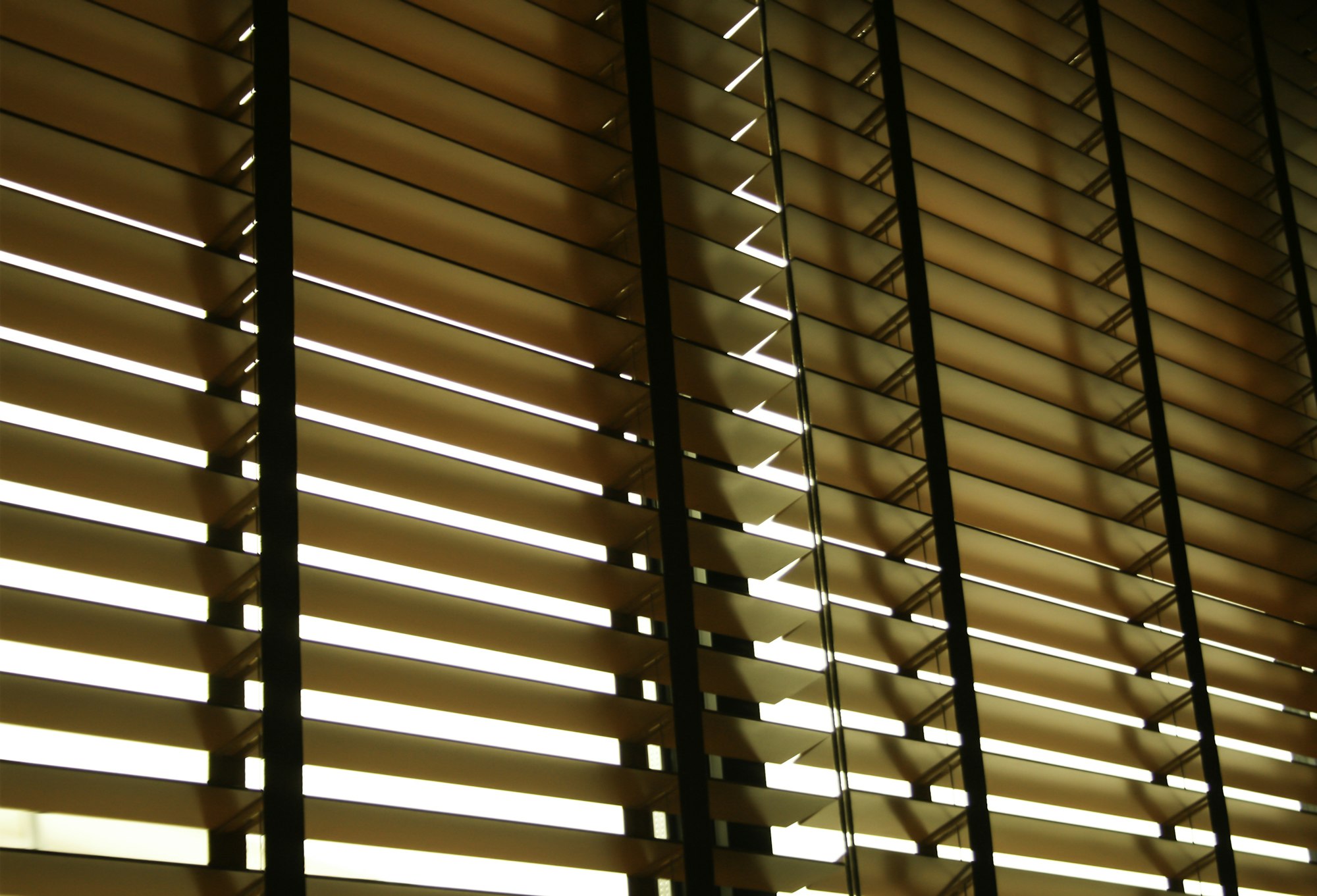Warm afternoon light filtering through timber louvre blinds